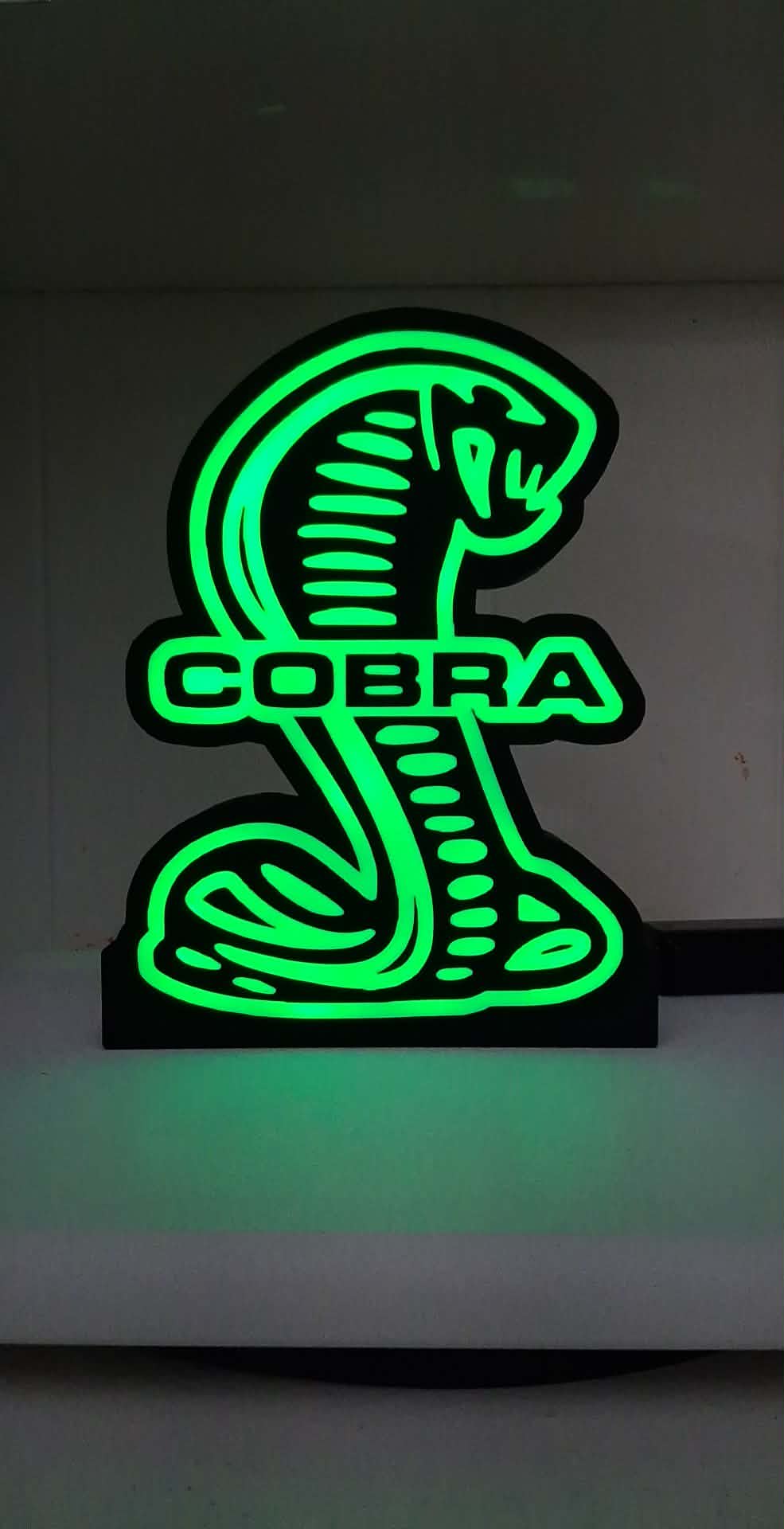 Cobra Snake LED Light Box | Custom 3D Printed | Lit Layer Creations